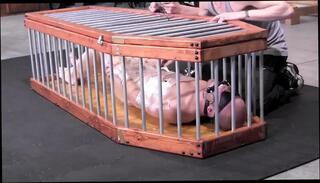 Video 1662911021: bdsm gay bondage whipping, bondage domination bdsm, bdsm bondage gay boy, gay bondage handjob, sexual domination, master dominic, dominant bitch, little domination, dominates two, domination hd