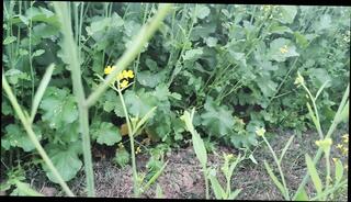 Video 1658590161: piss prolapse, black pantyhose feet, piss punishment, pissing teen boys gay, pissing gay sex boys, pissing young gay boy, pissing masturbation boys, gay sex pissing men, daddy punish teen, prolapse anal sex, pissing penis gay, straight men pissing gay, amateur teen pissing, hardcore anal punishment, pissing school boy, cute boy peeing, indian boy pissing, teen public pee, pissing gay old men, teen guys pissing, old gay man pissing, piss party gay, pee cumshot, public toilet pee, painfully punished, police punishment, office punishment, arab piss, latino piss, pee hd, gay sex pakistani boys, pakistani teen 18 sex