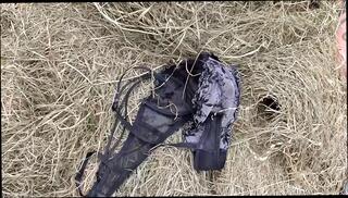 Video 1654240071: doggy style fuck compilation, doggy style sex compilation, ass doggy style compilation, love doggy style compilation, ass wife doggy fuck, blowjob ass fucked doggy, woman fucked doggy style, fucking doggy style riding, lady doggy style fucking, cunt fucked doggy, doggy fucks wifes blonde, big ass fucked doggy, straight blowjob compilation, doggy style fuck mature, doggy style fucking brunette, doggy style fucking mouth, fuck female compilation, dirty doggy style, blowjob compilation hd, german doggy style, fucking copulating, orgasmic cunt, jerking cunts, licking blowjob, coitus, cum