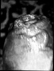 Video 1657905661: vintage hairy, hairy nude gay, hairy cock dick, big hairy cock gay, hairy gay porn, indian nude hairy, hairy desi