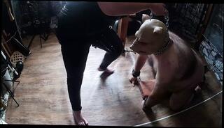 Video 1653405641: femdom strapon pegging slave, bondage slave femdom domination, bdsm bondage slave femdom, strapon femdom pegging anal, strapon mistress pegs, female domination bondage bdsm, femdom fetish mistress, bbw fucking machine, bondage sex extreme bdsm, chained sex slave, bdsm slut dominated, mistress pegging sub, bbw fetish mature, fuck machine first, fucking machines hd, femdom pet play, british bbw fucked, straight pegging, haired mistress, anal part 1