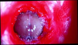 Video 1657441783: fetish solo, solo pussy toying, solo pussy anal, amateur solo pussy, pussy ass solo, anal big cock fetish, fetish hardcore anal, fetish blowjob anal, close solo amateur, solo male moaning, big hard cock solo, big dick solo male, hot pussy solo, fetish vagina, camera solo