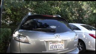 Video 1664492941: wide open, nasty milf cougar, cougar milf mature tits, milf gape pussy, tits blonde milf cougar, big tits milf cougar, milf cum slut, amateur milf swallows, hardcore big tit milf, wet nasty milf, moist milf pussy, gaping wet vagina, milf slut loving, wet milf cunt, milf rubs wet pussy, gapes juicy snatch, white milf slut, sweet milf pussy, milf pussy creamed, old pussy milf, milf twat, cute big tits milf, milf sperm, straight milf, blonde milf picked, little milf, blonde milf hd, penetration nasty, prick cums, year's cum, cums strong, small cum