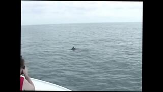 Video 1655790111: massage lesbian fingering, threesome lesbians fingering, vintage lesbian threesome, pussy eating fingering lesbian, lesbians kissing fingering, retro lesbian porn, lesbian girls fingering, lesbian fingering masturbation, best retro vintage porn, vintage lesbian sex, fingering amateur lesbians, classic vintage lesbian, lesbian fingering mature, lesbian threesome hd, fingering horny wet pussy, fingering pussy moaning, nude fingering pussy, erotica lesbian sex, pussy fingering jerk, lesbian straight porn, three lesbians licking, mature lesbian women, pussy fingering female, naked lesbian, english vintage porn, lesbian boots, horny pretty