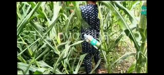 Video 1644848291: teen sister fucks brother, brother step sister sex, aunty doggy style sex, brother step sister homemade, brother step sister porn, brother step sister hardcore, indian aunty fucked doggy, sister step brother desi, amateur couple fucking doggy, amateur wife fucked doggy, pussy fucked hardcore doggy, aunty girl sex indian, doggy style sex cum, pornstar fucked doggy style, doggy style sex cumshot, fuck cheating wife doggy, throat doggy style fucking, deep throat doggy fuck, asian girl fucked doggy, aunty desi sex hindi, indian aunty outdoor sex, desi old aunty sex, aunty group sex, doggy style fucking mouth, straight step brother, aunty indian 18 year, doggy style pleasuring, behind doggy style, doggy style hd, amazing outdoor sex