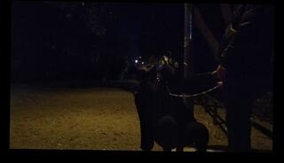 Video 1663486213: milf blowjob mature amateur, hot amateur milf blowjob, old mature amateur milf, amateur milf young, sucking outdoors