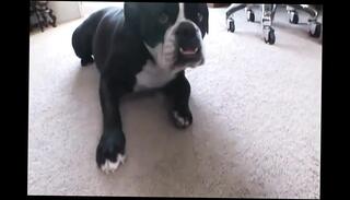 Video 1656339111: michelle mclaren, busty milf bbc, milf interracial bbc, busty big tits milf, busty milf big boobs, hot sexy busty milf, interracial black cock bbc, milf bbc facial, busty milf dick, milf interracial sex, perfect busty milf, busty african milf, hottest busty milf, beautiful busty milf, sexy nude milf, milf giant tits, straight bbc, milf large, busty afro, hd hot milf, big black pecker