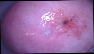 Video 1665331203: speculum pussy gape, closeup pov masturbation, closeup solo masturbation, amateur closeup pov, fetish solo masturbation, pov solo female, dirty talk solo masturbation, masturbate wet pussy closeup, hardcore pussy gaping, gaping wet vagina, dirty pov giantess, pink pussy closeup, solo masturbation deep, shrink giantess pov, camera closeup, behind closeup