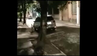 Video 1556854995: black negro cock, cock dog