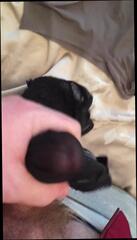 Video 330104101: cum wife panties, wife friend cum, gay friends cumming, gay man cum, wife sleeping