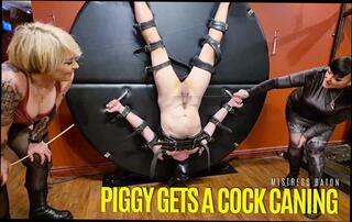 Video 1657977861: latex mistress femdom slave, cbt femdom bdsm mistress, bondage slave femdom domination, mistress punishes slave, latex fetish mistress, milf mistress dominant, mistress spanking slaves, femdom cock slapping, latex masked bdsm, femdom boot fetish, blonde femdom mistress, pantyhose mistress, extreme bdsm punishment, mistress nylon, punished dominated hard, women dominating men, dick mistress, straight punished, pig slave, latex hd, ball busting, ball pit, very balls