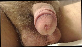 Video 1596302745: hairy dick balls, hairy cock balls, hairy penis, small hairy dick, penis close