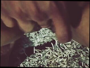 Video 1617645291: swingers sucking, crazy swinger, uncensored, licking sucking, fap, eating pussy, sexy, straight