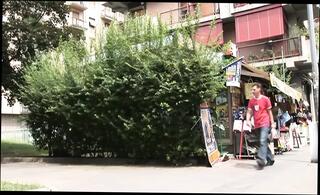 Video 1664471631: ass milf doggy style, milf blowjob doggy style, milf pussy doggy style, tits milf doggy style, ass milf cougar, big ass milf doggy, pussy doggy style cum, cum hungry milf, cock hungry milf, doggy style eating cum, big tits milf boss, young pussy doggy style, tits italian milf, milfs mouth cummed, old pussy milf, doggy style straight, older milf, doggy style hd