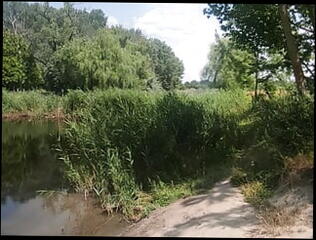 Video 1612966461: white skinny gay boy, skinny boy masturbate, skinny young boy gay, skinny cock, hungarian skinny, beach skinny, skinny outdoor, hd skinny, boy masturbating public