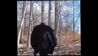 Video 1623825145: solo outdoor masturbation, exercise masturbation
