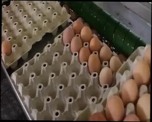 Video 1655813011: vivian schmitt, threesome fuck compilation, threesome cumshot compilation, threesome sex compilation, compilation hot threesome, hot threesome banging, cock swallowing cum compilation, cum compilation fucked pussy, fuck compilation deep throat, deep throat blowjob compilation, babes fucking compilation, blonde babe blowjob compilation, nude sex compilation, dick cum compilation, straight cum compilation, hot threesome outdoor fuck, banging deep wet pussy, mouth swallow compilation, juicy pussy banged, loving babe banged, hottest cumshot compilation, huge cocks compilation, brunette babes compilation, large compilation, moist pussy fucked, fucking copulating, pecker fucking, coitus