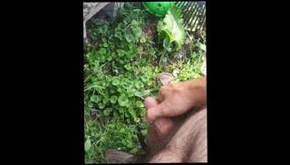 Video 1585290503: amateur piss fetish, solo male piss, big dick pissing, amateur public piss, pissing handjob, pissing outside, wife
