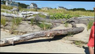 Video 1653496681: milf pissing pee, amateur milf pisses, amateur milf solo, american milf solo, milf solo hd, naughty amateur milf homemade, straight amateur solo, amateur milf wet, beach pee