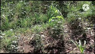 Video 1622937931: indian maid aunty, wife indian aunty, aunty couple, bisexual arab couple, straight bisexual, indian aunty outdoor, indian aunty black, asian aunty, aunty hd, gothic couple, couple picked, wife spit