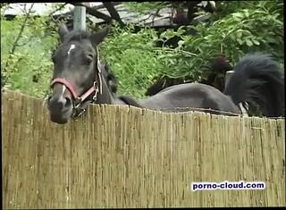 Video 1655913721: hairy granny pussy fucked, bbw hairy pussy fuck, hairy pussy massage, hairy pussy threesome, hot hairy granny, bbw loves massage, pussy massage sex, hairy pussies straight, granny fucking outdoors, massage beauty pussy, hottest hairy pussy, hairy pussy shaved, bathroom threesome sex, fucking copulating, coitus