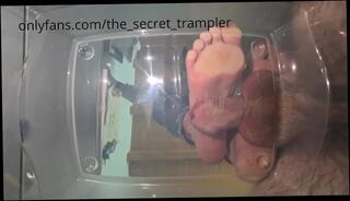 Video 1595731403: femdom mistress cbt, femdom fetish mistress, fetish feet femdom, femdom cbt ball busting, femdom cock bondage, hardcore femdom fetish, goddess mistress, amateur femdom ball busting, ball crush feet, cbt trample, balls cumshot