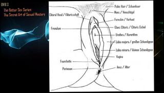 Video 42055635: clitorial orgasm, sexual woman, female orgasm sex, wild bed sex, sexual secrets