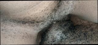 Video 1657202671: hairy pussy riding cock, hairy pussy rides big, hairy pussy black cock, homemade hairy pussy, hairy pussies straight, hairy african pussy, hairy mature riding, hairy pussy hd, girl rides big cock, nigerian big cock