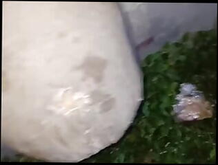 Video 1602865491: fetish gay solo masturbation, gay solo cumshot compilation, fetish gay piss, cock solo compilation, pissing compilation outdoors, solo fantasy masturbation, cumshot compilation hd, cumpilation, indonesian cumshot