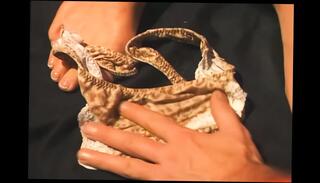 Video 1658510361: cunnilingus fingering, tgirl fingers, fingering straight, english lesbian, fingering hd