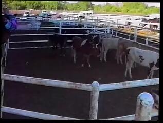 Video 1662881071: twink gay cock sucking, twink sucking big cock, gay twink cumshot, gay twink blowjob, little twink sucking, twink sucks two, english twink, hot cock sucking, cowboy cock