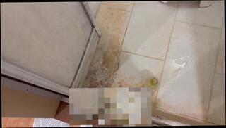 Video 1595659653: solo male pee, hentai virgin, japanese hentai amateur, amateur man solo, hentai 60fps