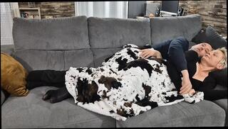 Video 1656773771: milf ass fuck cum, boobs milf anal fucked, milf ass fucked cumshot, milf cumming fucking sex, amateur milf ass fucked, amateur couple homemade milf, french milf ass fucked, ass fucking mature milf, milf mom fucked hard, fuck hot milf riding, milf butt fucked, milf lingerie fuck, milf rides creams, fuck hottest milf, milf stockings fucking, milf small ass, milf fucked hd, milf vagina, milf sperm, straight milf, ass pussy fucked, fucking copulating, coitus