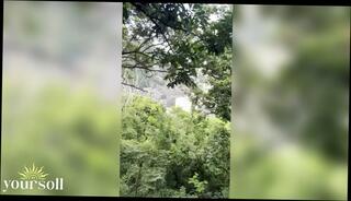 Video 1664374825: amateur sexy teen girl, amateur black teen girl, sexy black haired girl, sexy exotic girl, sexy white girl, sexy black men