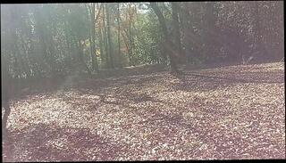 Video 1657161073: amateur ebony interracial, amateur mature interracial, interracial big dick, interracial muscular, interracial men, latin interracial, interracial outdoor, public interracial, japanese interracial