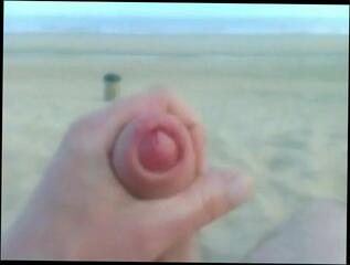 Video 206887401: gay nudist beach, nudist man, penis cumshot, gay big cumshot