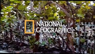 Video 1659208351: milf bbc ass fucked, latin milf fucks bbc, fucking bbc compilation, throat bbc compilation, bbc blowjob compilation, big ass milfs bbc, compilation milf hd, bbc throat pie, fucking bbc homemade, straight blowjob compilation, english milf fucking, nude compilation, strap