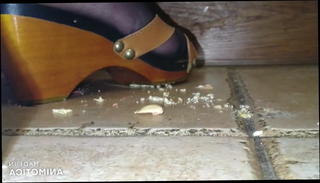 Video 1523616401: bdsm femdom mistress, femdom fetish mistress, mistress lady, homemade femdom, amateur mistress, straight bdsm, crush fetish heels, mistress high heels, mistress hd