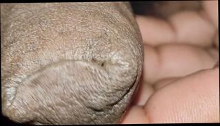 Video 1665451801: skinny hairy boy, skinny boy solo, hairy hunk bareback, bareback fucks skinny, solo hairy masturbation, skinny hairy teen, skinny bareback gay, hairy cock solo, hairy muscle bareback, skinny asian barebacking, underwear solo, underwear boy gay sex, straight boy fucked bareback, bareback homosexuals fuck, masturbation indian boy solo, cute boys fuck bareback, boys bareback hot fuck, fuck young boy bareback, skinny boy big cock, solo masturbation huge cock, homemade bareback fuck, pornstar masturbating solo, desi boy solo, jock boy, sexy jocks, fucking bareback hd, husband bareback, family bareback, teen boy medical gay, ass fucking dick