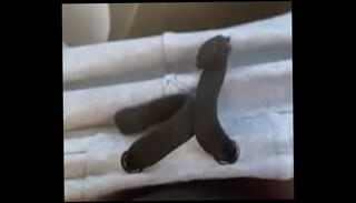 Video 1458572055: quick tease