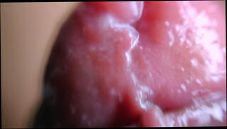 Video 1568121241: orgasm cumshot, gay orgasm, gay man cumshot, extreme orgasm, orgasm close