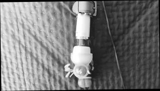 Video 1615714843: bdsm bondage fetish, bdsm bondage orgasm, bdsm fetish cock, bdsm hardcore bondage, bondage sex bdsm, bondage amateur bdsm, fetish solo masturbation, bondage torture, rough bdsm bondage, solo cock masturbation cum, cock sex toys fetish, dick solo masturbating cumming, bondage vibrator orgasm, solo moaning orgasm, solo male masturbation moaning, solo male masturbation cumshot, cock head torture, sex 60fps