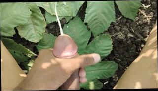 Video 1620172801: skinny teen massage, skinny teen boy gay, skinny boy cums, skinny young boy gay, skinny boy big cock, skinny boy masturbate, massage indian boy, asian massage boy, desi cock massage, skinny teen outdoor, massage cumshot, public massage, hd massage, old boy