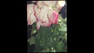 Video 1624246703: double squirt orgasm, teen solo squirt, solo pussy squirting, solo girl squirt, solo babe squirts, solo squirt amateur, solo play squirt, solo female squirt, solo asian squirt, solo squirt hot, big squirt solo, squirting babes pussy lick, solo sexy teen girl, teen's squirt hard orgasm, solo nipple orgasm, double vaginal sex, solo cute amateur teen, big tits squirting pussy, big boobs girl solo, long squirting orgasm, squirt inside pussy, orgasm squirting rough, double vagina, squirting big natural tits, small squirting pussy, solo 18 years, socks squirt, babysitter squirts, squirting behind, double camera, nipples tugging