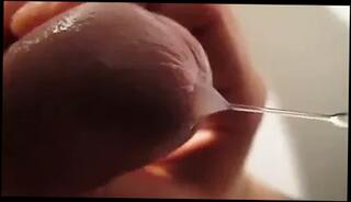 Video 101145701: cum rope, swallowing milk, milking gay, milking precum, man milk, rope loving