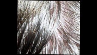 Video 1500720125: gay sex cock sucking, sex sucking black cock, gay cock balls, cock blowjobs black gay, tastes big black cock