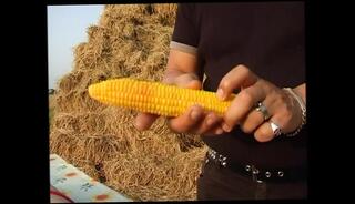 Video 1654598451: vintage big tit blonde, vintage big cock, vintage big dick, vintage girls, vintage nipples, vintage pussy love, vintage sluts, vintage vagina, horny vintage, vintage cunt, vintage sex, vintage chick, vintage cum, vintage blowjob, vintage straight, hottest vintage, vintage cuties, inside vintage, sweet vintage, vintage cute, old vintage, hd vintage, cougar, hairy, milf, 18 years girls pussy, big tit ties nipples, giant cock big tits, small tit tied girl, girl ejaculation, amazing horny girl, tits large nipples, snatch sex, horny pecker, slut twat, young girls pussy, plumper slut, fat slut, hot whores