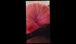 Video 1666135983: pov bbc blowjob, pov amateur big tit, pov blowjob oral, amateur ebony bbc, pink haired slut, slut mouth