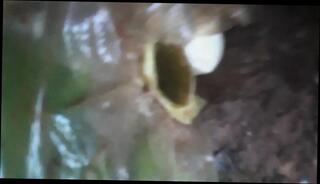 Video 1654902801: gay homemade solo, homemade amateur solo, gay black solo, desi solo, solo hd