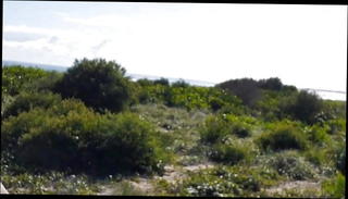 Video 1186674101: gay cock play, gay man cock, horny cock, beach cock, cock hd